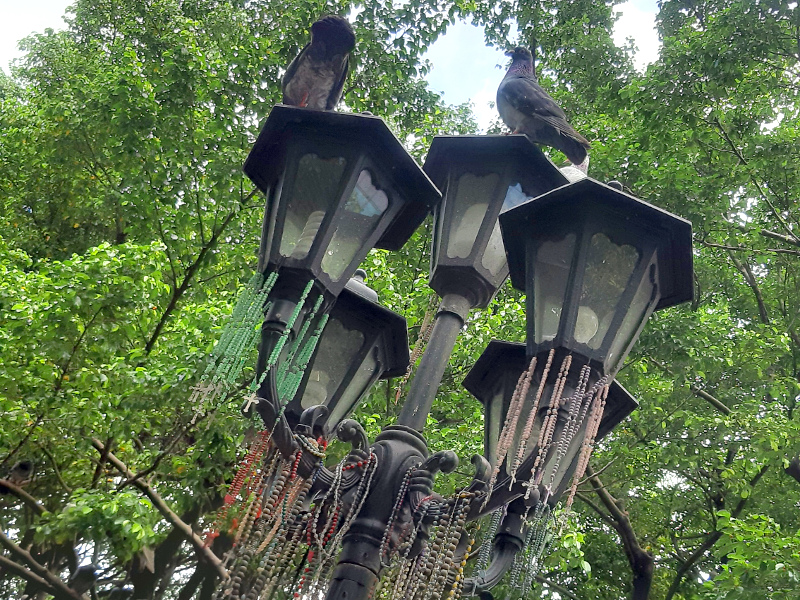 Black doves on a lamp post.